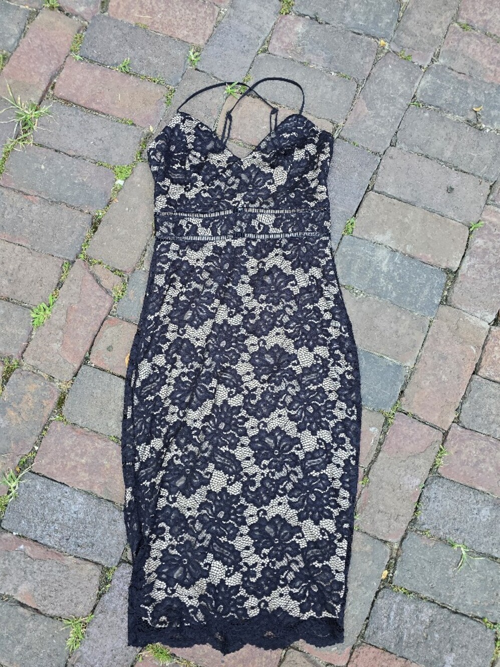 Socialite Black Lace Overlay Dress Illusion Dress Formal Guest NWT Small
